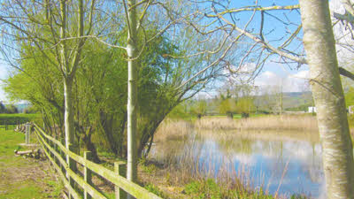 Passage Farm, GL2 7JR