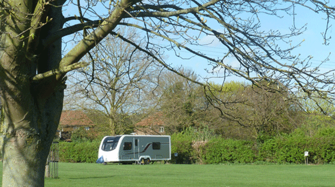 Manor Farm, PE32 1BG, Norfolk, King's Lynn, caravan, field, pitch