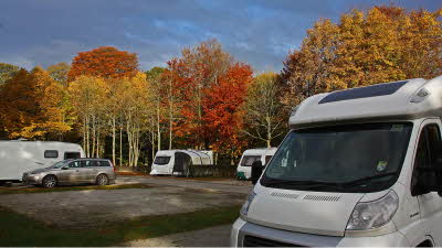 Motorhomes parked under blue skies above autumn trees