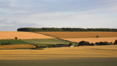 Pear Tree House, YO17 8TQ