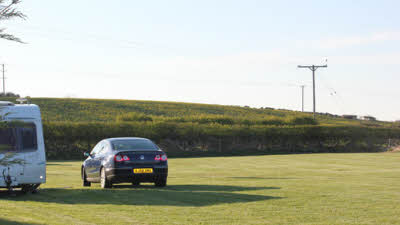 Abbey View, YO21 1SW, CL