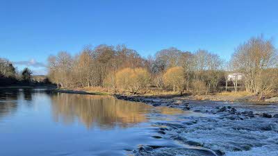 A bright blue sky is reflected in the running water of a river. Bare trees line the banks