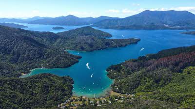 Elevated view of the blue green waters surrounded by green lush islands ofMarlborough Sounds New Zealand