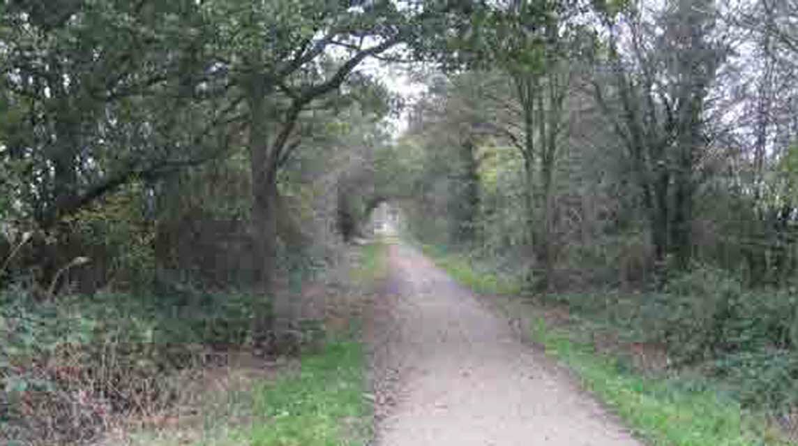 Acorns Caravan Park, CW7 2BF