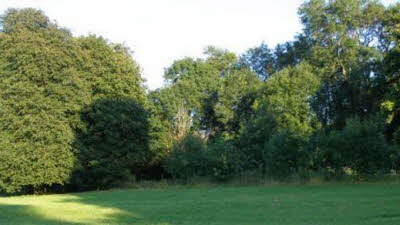 Freemantle Park Farm, RG26 5UD, field, trees