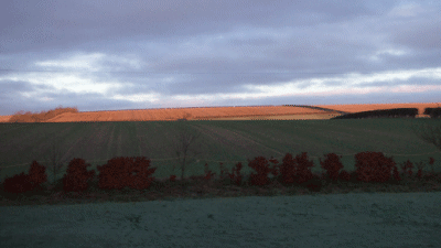 Pear Tree House, YO17 8TQ