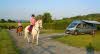 Pardon Hill Farm Certificated Location | Caravan And Motorhome Club