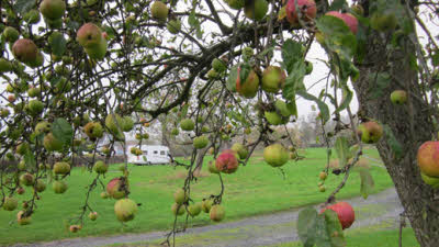 Hucks Barn Farm, SY8 4AA, CL