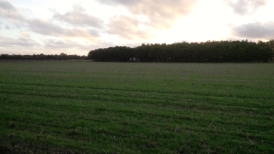 Twit Twoos, PE24 5JB, Skegness, Lincolnshire