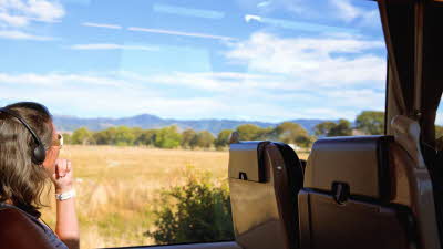Photo of woman looking out of train window in New Zealand