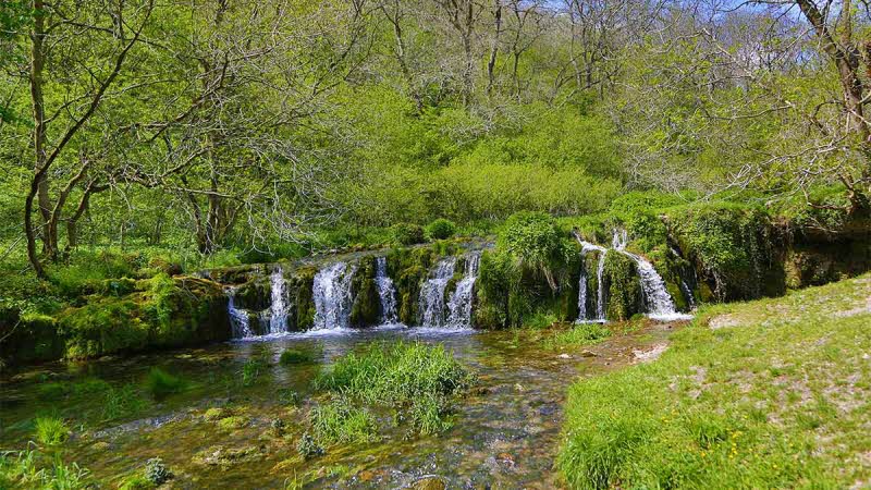 A backdrop of green leafy trees leading to the higher ledge of the smalls waterfalls flowing into the water below