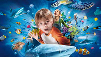 Offer image for: Sea Life Birmingham - Up to 15% discount