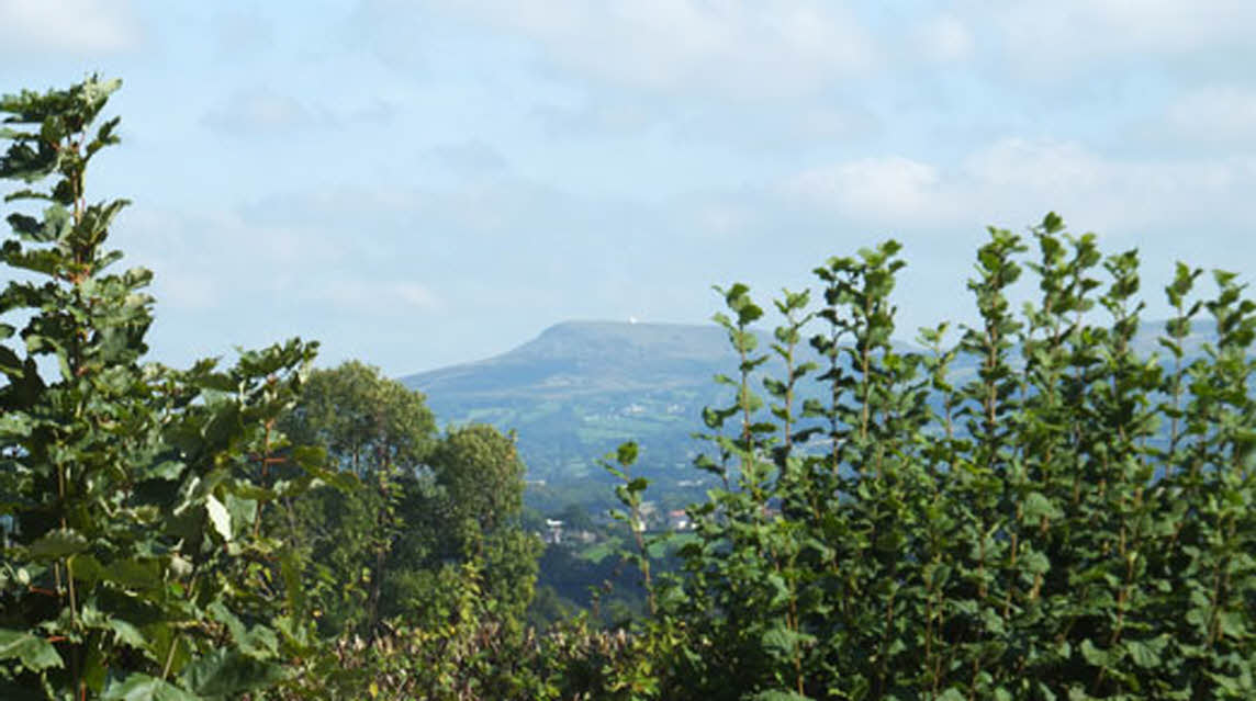 Hucks Barn Farm, SY8 4AA