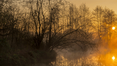 Alverstone Ponds, PO36 0HA