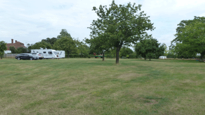 Howletts Farm, Shottenden, Kent, CL, pitches, CT4 8JU, trees