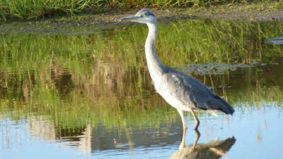 Cliff House Farm, HU11 4UN, CL