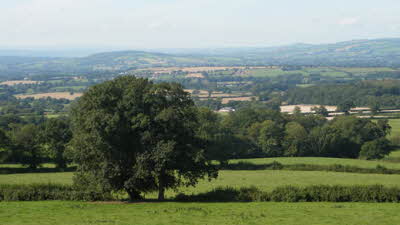 Beer Farm, EX14 3LE, Honiton, Devon