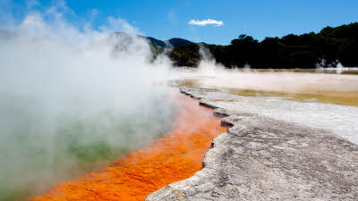 camping tours of new zealand