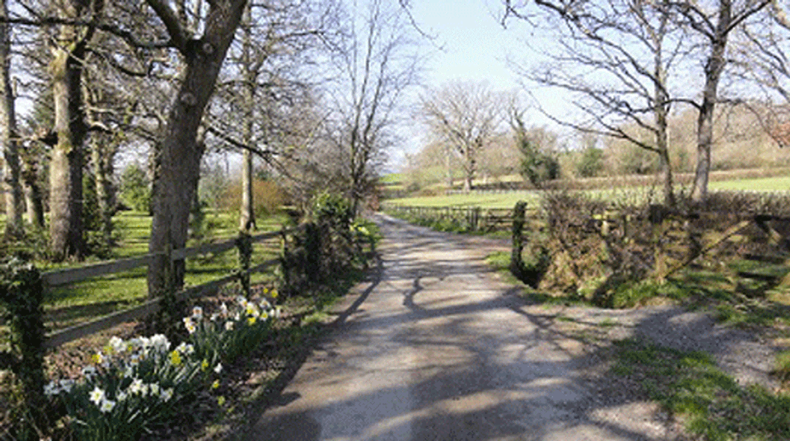 East Dunley, TQ13 9PW, Bovey Tracey, Devon