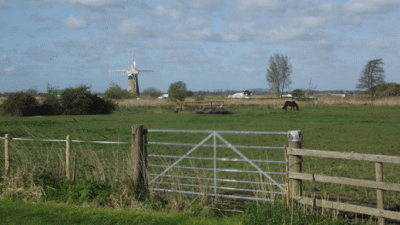 Red House, NR29 3AP, Acle, Norfolk