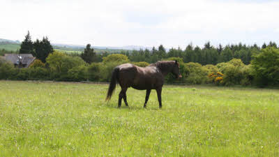 Ashbury Caravan Park, EX20 4NE, CL, 