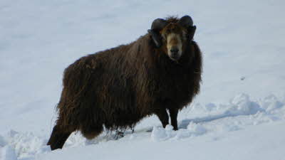 Splash Farm, DE4 5AF