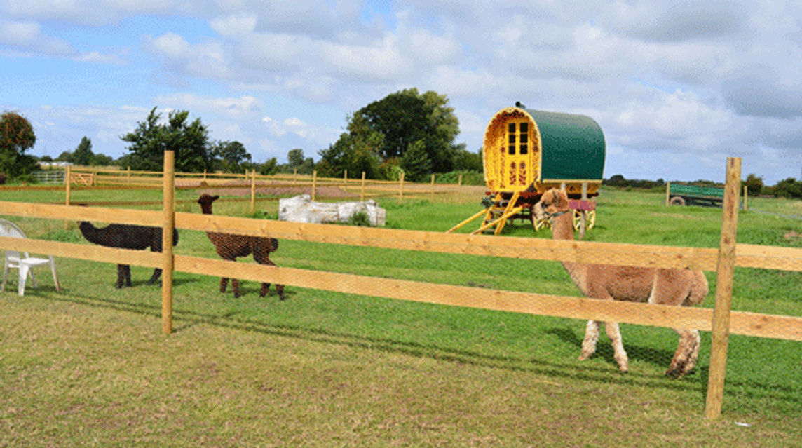Manor Farm Caravan Park, TA5 2BB