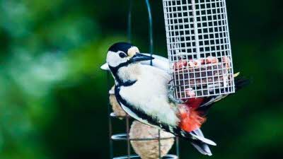 High Breame, YO15 1AA, CL