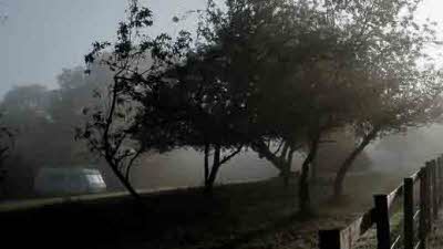 Furzehill Farm, SP6 2PT