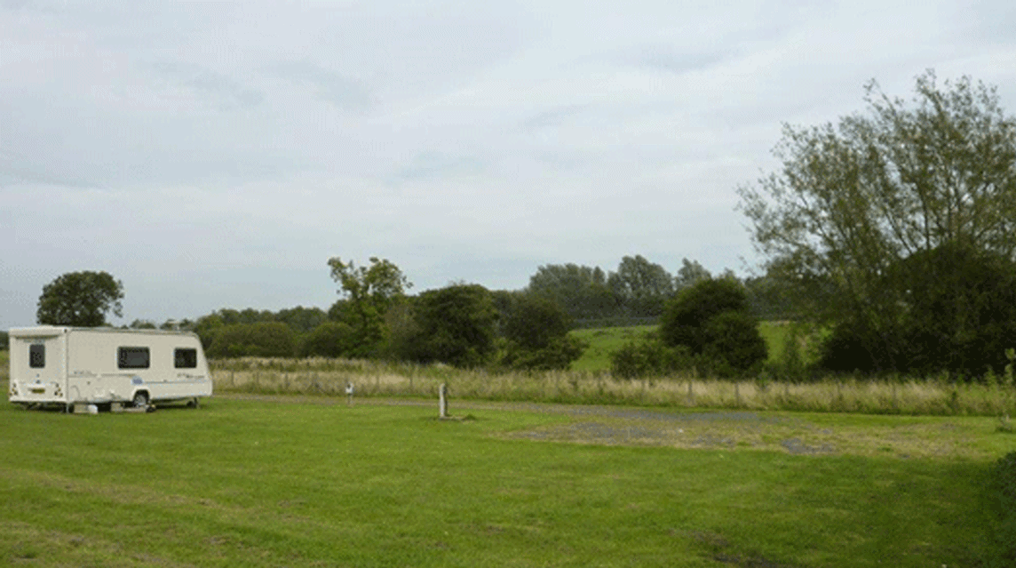 Middridge Meadows Livery, DL5 7JQ