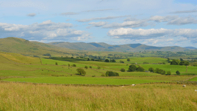 Mosergh Farm Caravan Site, LA8 9JY, Kendal, Cumbria
