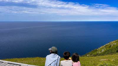 Marcus Leach's family enjoy the view out to sea