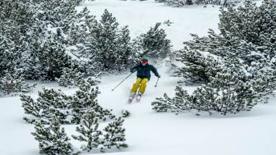 SNOW and ROCK_Image 2_SS2026.jpg