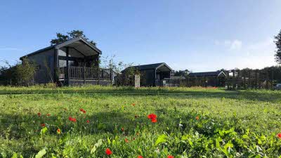 Glamping cabin cayton village