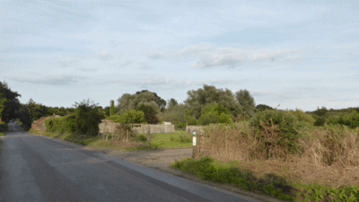 Deodara, NR31 9QS, CL