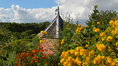 Offer image for: Hill Close Gardens - Two for one