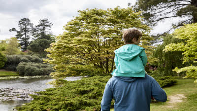 1532975 ©National Trust ImagesArnhel de Serra.jpg