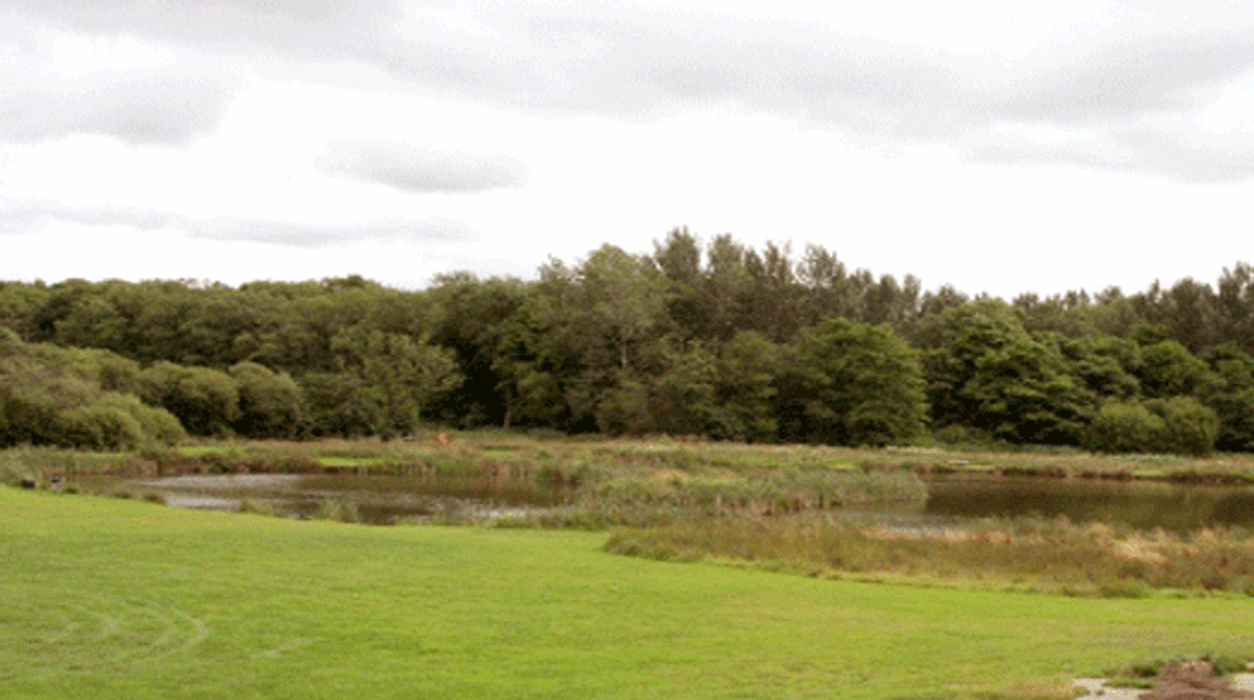 Spring Heath Fishery, Log Cabins and Caravan Park, SY10 8DA, Oswestry, Shropshire