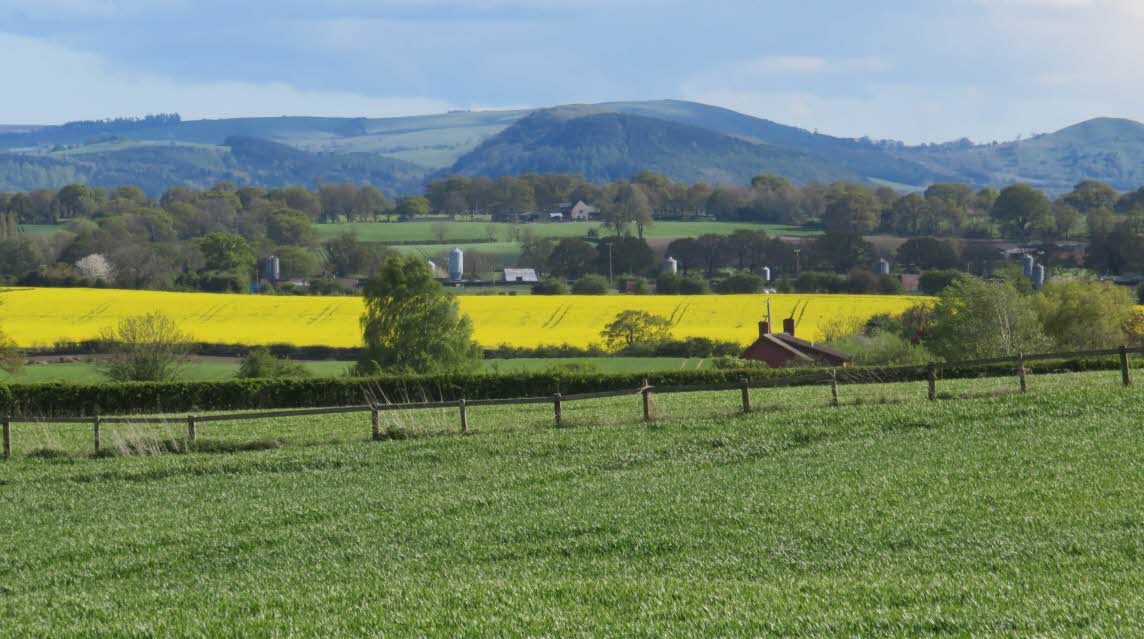 Bank House Farm, SY4 1AE