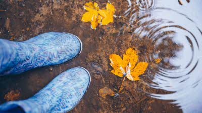 Blue patterned wellies stood in a puddle looking down on two yellow autumn leaves