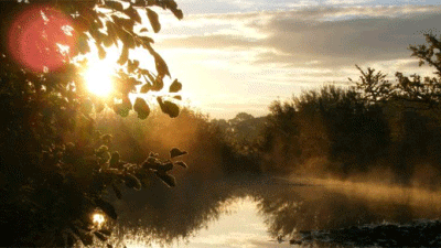 Alverstone Ponds, PO36 0HA