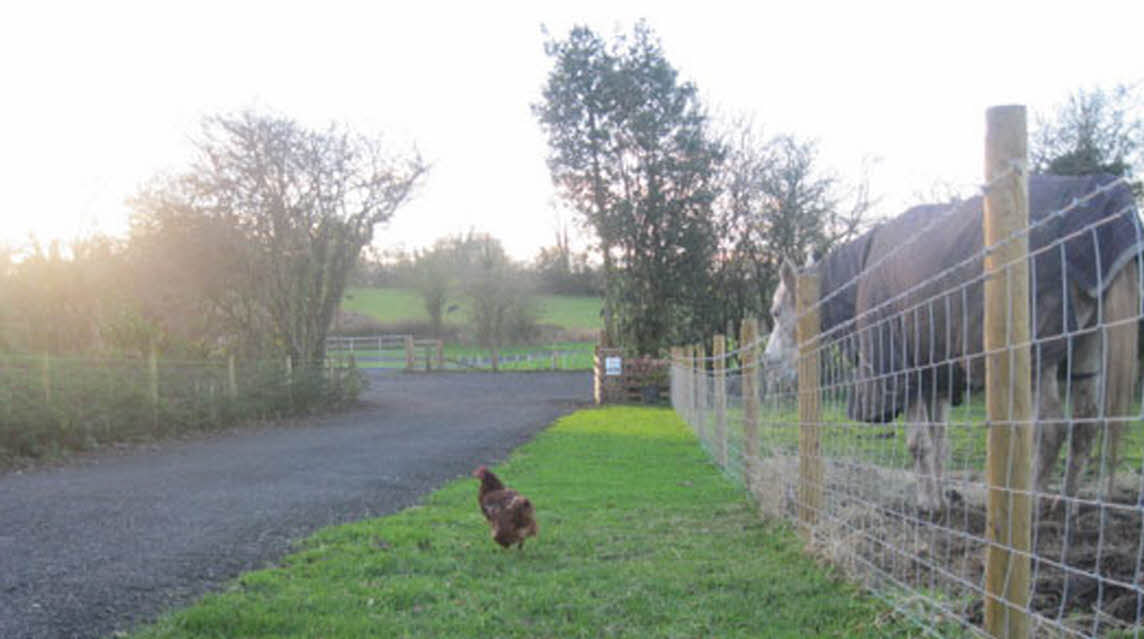 Port Arthur Farm, HG5 9JA, Knaresborough, North Yorkshire