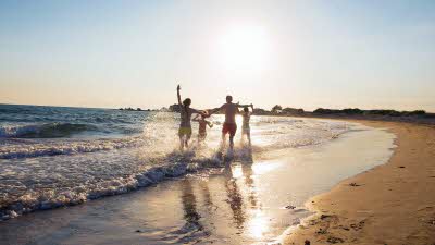 Family on beach