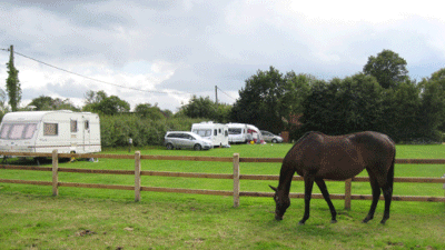 Hall Farm CL, NR20 5SP