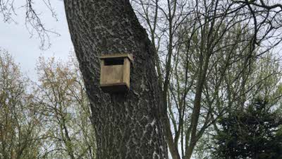 Small bird box on the side on a tree trunk