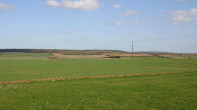 Mealand Hill, DN38 6DZ, CL