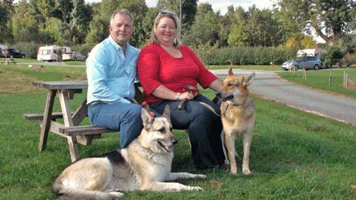 Man in blue shirt and woman in red top sitting with two dogs on a picnic bench