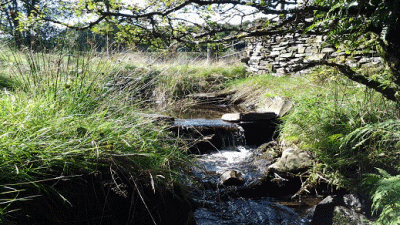 Outgate Fell, LA22 0NH