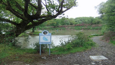 Ashbury Caravan Park, EX20 4NE, CL, 