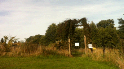 Willoways, NR31 9QS, CL